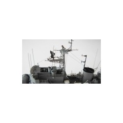 NikoModel 7032 – Aviso Escorteur Protet F748 (1/700) – Maquette Résine