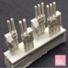 Shelf Oddity SO700025 – MN “Mogador/Volta” Waterline Model Kit (1 :700)