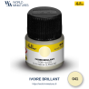Heller 041 – Peinture Acrylique Ivoire Brillant 12ml