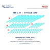Aber S 1:200 L-08 – Armement Cuirassé Allemand Scharnhorst