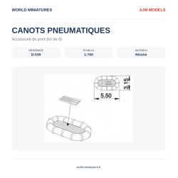 AJM Models D039 – Radeau de...