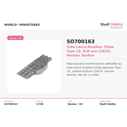 Shelf Oddity SO700163 –...