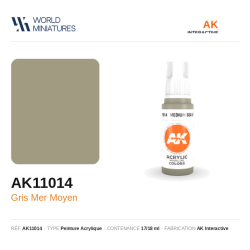 AK Interactive AK11014 –...