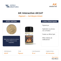 AK Interactive AK147 –...