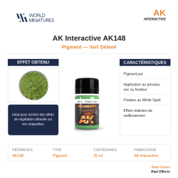 AK Interactive AK148 –...