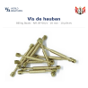 Billing Boats BF-0021 – Vis de hauban 20 mm / 10 pièces