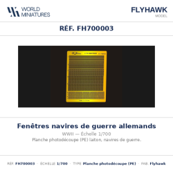 Flyhawk FH700003 – Fenêtres...
