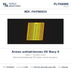 Flyhawk FH700033 – US Navy...