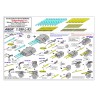 Aber S 1:350 L-053 – Canons pour cuirassé allemand Scharnhorst – Laiton tourné
