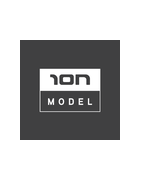 Ion Model